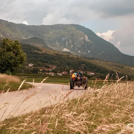 Mulberry House Lejlighed