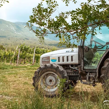 Mulberry House Apartman