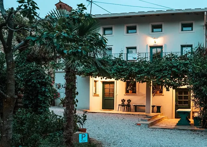 Daire Mulberry House