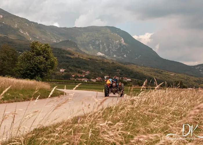 Mulberry House Daire