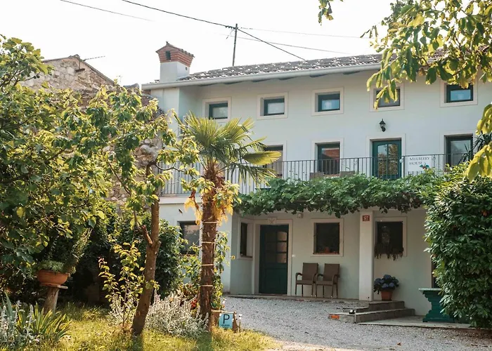 Mulberry House Daire Sempas